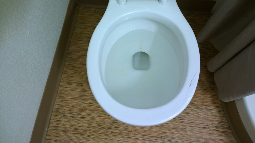 nastytoilet