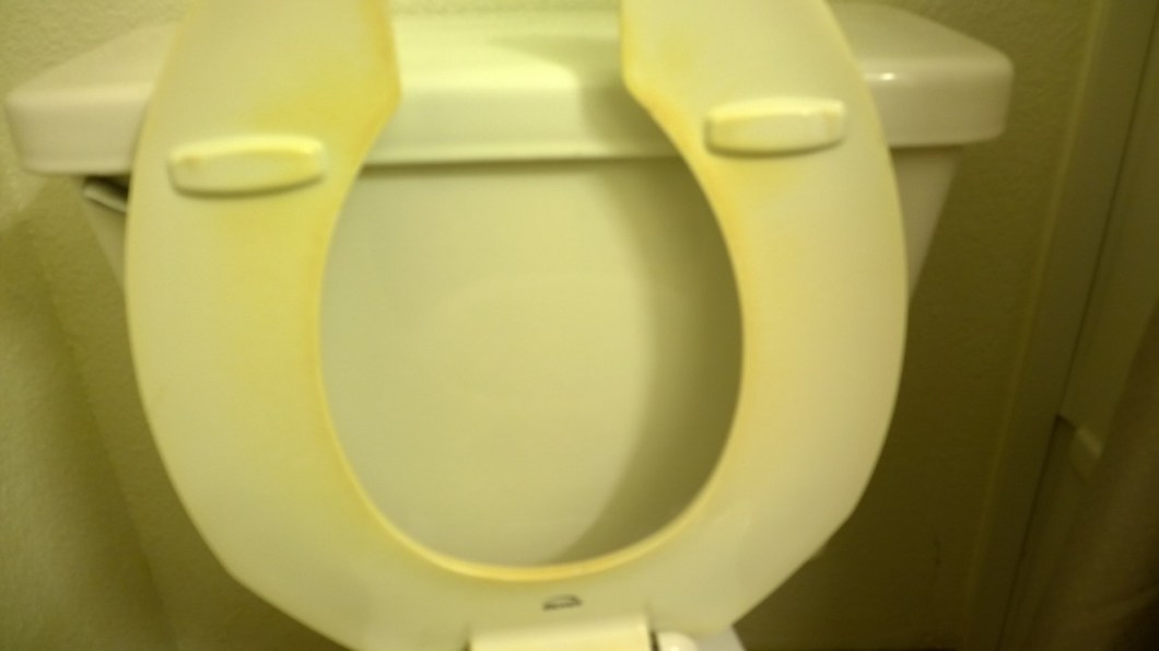 NastyToilet1